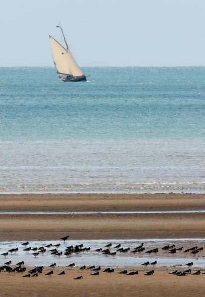 Bank holiday in Swansea Bay Bank holiday in Swansea Bay