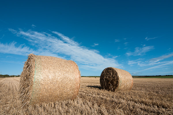 Hay Bales at Scurlage 2