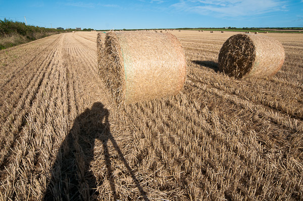 Hay Bales at Scurlage 3