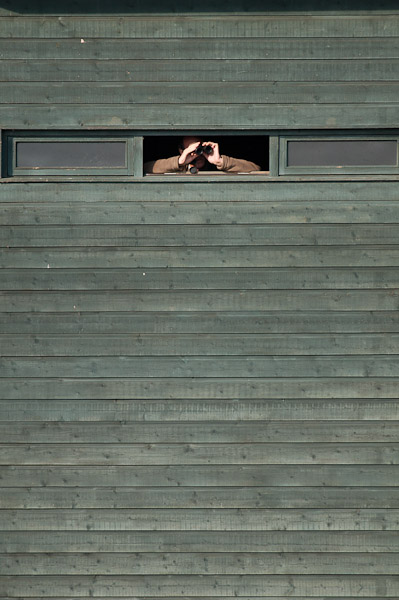 Bird Watching, WWT London Wetlands Centre, London
