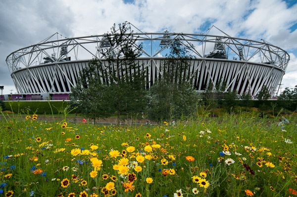 Olympic Stadium and flowers, London Olympics 2012