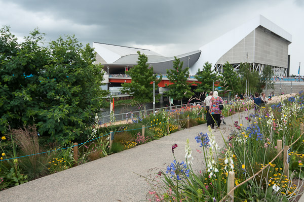 The Aquatic Centre & Flowers 2, London Olympics 2012