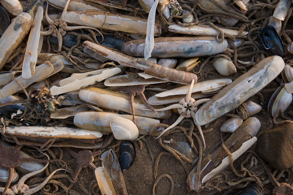 Rhossili Bay20130202_DSC1529